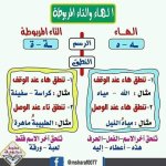 أقوى ملزمة لغة عربية بالنحو للمرحلة الإبتدائية