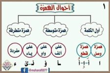 أقوى ملزمة لغة عربية بالنحو للمرحلة الإبتدائية