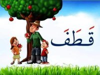 بطاقات قراءة الكلمات المعبرة عن الصور للاطفال