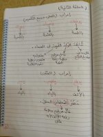 تأسيس النحو كله من الصفر بشكل سهل جداً ومبسط