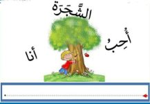 بطاقات لتركيب الجملة جاهزة للطباعة والاستخدام