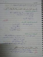 حلول اجتماعية وحدة بيئتي الصف الرابع الفصل الثاني 2022 منهاج سوريا