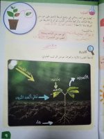 حلول علوم الوحدة الرابعة الصف الرابع الفصل الثاني 2022 منهاج سوريا