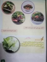 حلول علوم الوحدة الرابعة الصف الرابع الفصل الثاني 2022 منهاج سوريا
