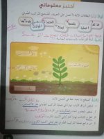 حلول علوم الوحدة الرابعة الصف الرابع الفصل الثاني 2022 منهاج سوريا