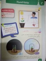 حلول علوم الوحدة الرابعة الصف الرابع الفصل الثاني 2022 منهاج سوريا