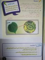 حلول علوم الوحدة الرابعة الصف الرابع الفصل الثاني 2022 منهاج سوريا