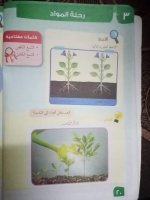 حلول علوم الوحدة الرابعة الصف الرابع الفصل الثاني 2022 منهاج سوريا