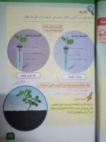 حلول علوم الوحدة الرابعة الصف الرابع الفصل الثاني 2022 منهاج سوريا