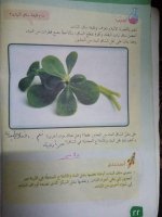 حلول علوم الوحدة الرابعة الصف الرابع الفصل الثاني 2022 منهاج سوريا
