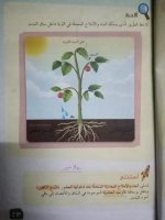 حلول علوم الوحدة الرابعة الصف الرابع الفصل الثاني 2022 منهاج سوريا