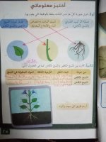 حلول علوم الوحدة الرابعة الصف الرابع الفصل الثاني 2022 منهاج سوريا
