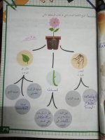 حلول علوم الوحدة الرابعة الصف الرابع الفصل الثاني 2022 منهاج سوريا
