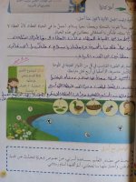 حلول لغة عربية المواطنة والانتماء الصف الرابع الفصل الثاني 2022 منهاج سوريا