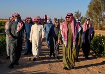 مواطن ينجح في استنبات 15 نوعاً من النباتات البرية