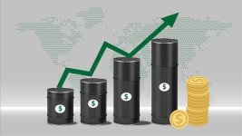 تأكيد الإمارات التزامها باتفاق "أوبك يؤدي لارتفاع أسعار النفط 3 دولارات