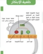 طفلة سعودية تبتكر قبعة ضوئية لكشف نزيف الدماغ