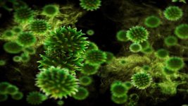 تعرّف على الفطر الأخضر وأعراضه واحتمالات انتشار العدوى