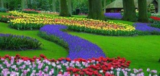 موضوع تعبير عن الربيع و الطبيعة.jpg موضوع تعبير عن الربيع و الطبيعة.jpg