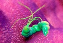 a11067f4-50d0-440b-809d-c10acad1b7a7.jpg a11067f4-50d0-440b-809d-c10acad1b7a7.jpg