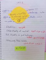 الوحدة الأولى كونكت للصف الرابع الابتدائي ترم أول 2023 المنهاج المصري