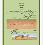 الحصة الأولى علوم للصف الرابع الابتدائي ترم أول 2023 المنهاج المصري