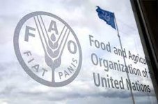منظمة-الأغذية-والزراعة-FAO.jpg