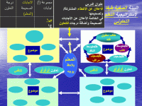 صور عن التعلم الذاتي