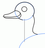رسم بطة