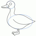 رسم بطة