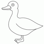 رسم بطة