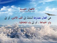 شرح الأفعال الخمسة في اللغة العربية