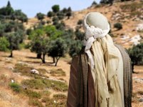 موضوع-تعبير-عن-الوطن.jpg موضوع-تعبير-عن-الوطن.jpg