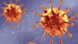 بريطانيا تُعلن اكتشاف سلالة جديدة من فيروس "كورونا"