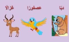 قصة عائلة التنوين