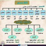 قواعد النحو أقسام الكلمة للمرحلة الابتدائية