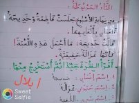 شرح التاء المربوطة في الاسماء