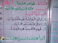 شرح التاء المربوطة في الاسماء