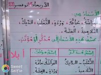 شرح التاء المربوطة في الاسماء