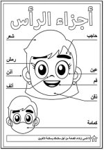 تعليم أجزاء الجسم للأطفال برسومات ممتعة