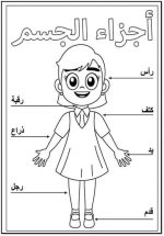 تعليم أجزاء الجسم للأطفال برسومات ممتعة