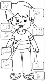 تعليم أجزاء الجسم للأطفال برسومات ممتعة