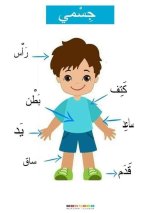 تعليم أجزاء الجسم للأطفال برسومات ممتعة