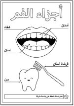 تعليم أجزاء الجسم للأطفال برسومات ممتعة