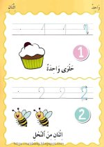 مهارات مسك القلم والخطوط و كتابة الارقام والجمع والتلوين