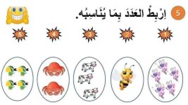 تمارين تأسيس في الرياضيات