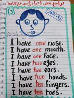 تأسيس English بطريقة سهلة و مميزة