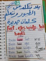 تأسيس English بطريقة سهلة و مميزة