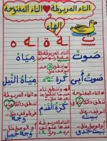 شرح الفرق بين التاء المربوطه والهاء