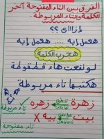 شرح الفرق بين التاء المربوطه والهاء